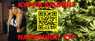 стафф Гай
