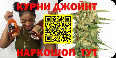 стафф Гай