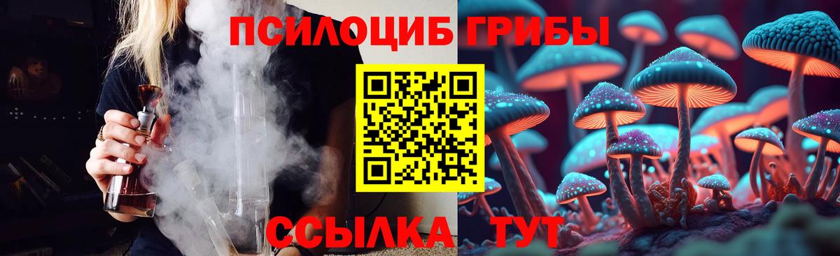 Псилоцибиновые грибы мухоморы  Псилоцибиновые грибы GOLDEN TEACHER  Муром  Вход с VPN 